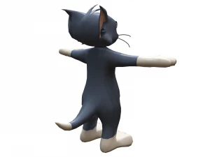 टॉम 3D मॉडल