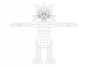 tom 3D Model