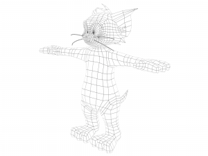 tom 3D Model