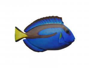 blue tang 3D 모델