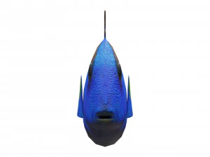 espiga azul Modelo 3D