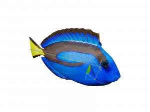 espiga azul Modelo 3D