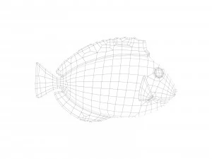 espiga azul Modelo 3D