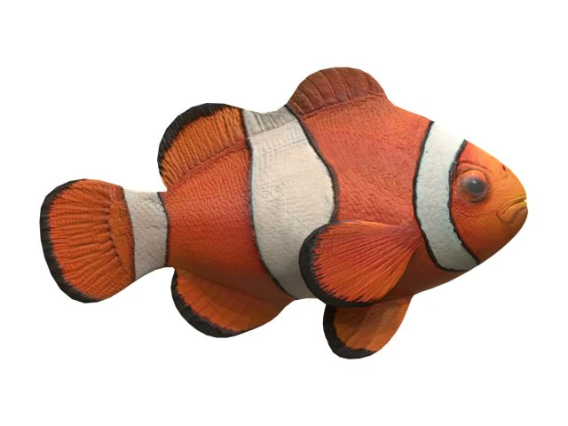 clown fish 3D Model .c4d .max .obj .3ds .fbx .stl .blend 