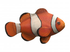 clown fish 3D मॉडल