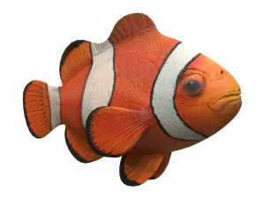 clown fish 3D Model