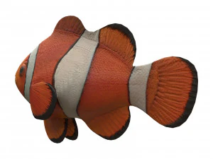 clown fish 3D Model
