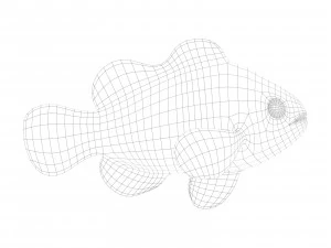 clown fish 3D Model