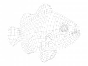 clown fish 3D Модель