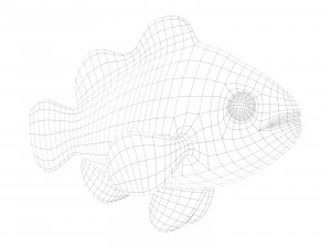 clown fish 3D Model
