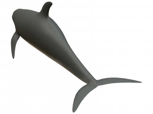 dolphin 3Dモデル
