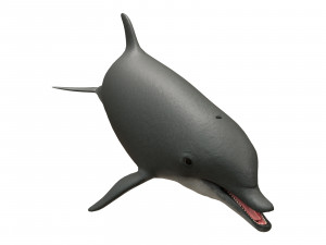 dolphin 3Dモデル