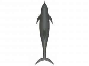 dolphin 3Dモデル