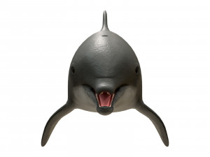 dolphin 3Dモデル