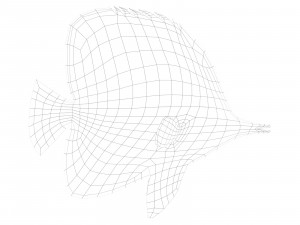 butterfly fish 3D-Modell