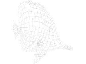 butterfly fish 3D-Modell