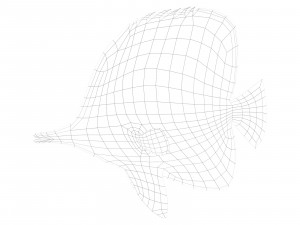 butterfly fish 3D-Modell