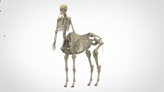 centaur skeleton Modelo 3D .c4d .max .obj .3ds .fbx .stl .blend 