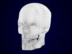 Zentaurenskelett 3D Modell