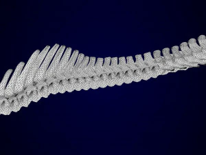 Zentaurenskelett 3D Modell