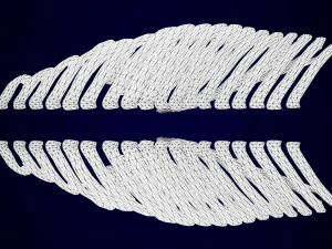 Zentaurenskelett 3D Modell