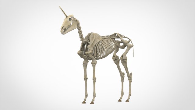 unicorn skeleton 3D 模型 .c4d .max .obj .3ds .fbx .stl .blend 
