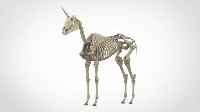 scheletro di unicorno Modello 3D .c4d .max .obj .3ds .fbx .stl .blend 