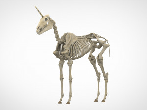 unicorn skeleton Modelo 3D