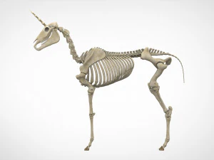 scheletro di unicorno Modello 3D