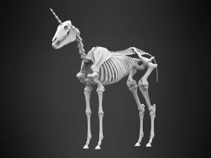 scheletro di unicorno Modello 3D
