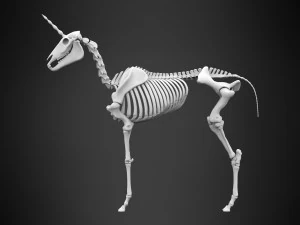 scheletro di unicorno Modello 3D