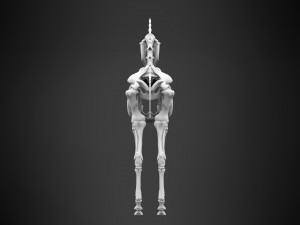 unicorn skeleton 3D 模型