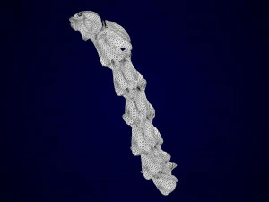 scheletro di unicorno Modello 3D