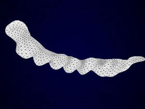 scheletro di unicorno Modello 3D