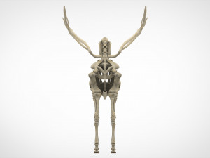 pegasus skeleton Modello 3D