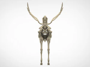 pegasus skeleton 3D Model