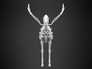 pegasus skeleton Modello 3D