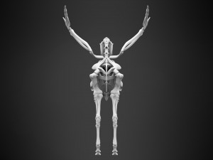pegasus skeleton Modello 3D