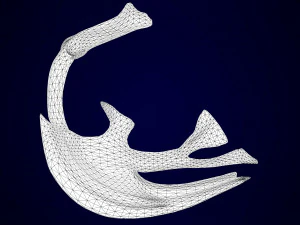 pegasus skeleton 3D Model