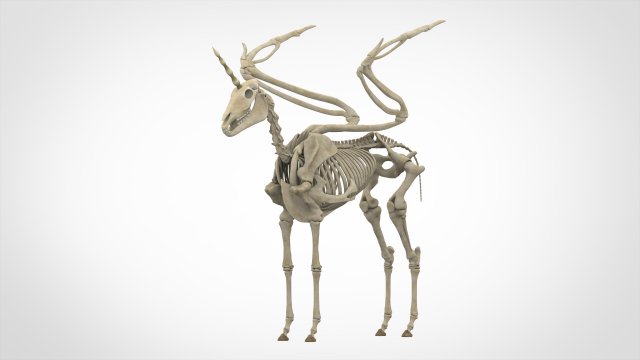 alicorn skeleton 3D Model .c4d .max .obj .3ds .fbx .stl .blend 