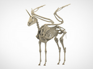 alicorn skeleton 3D Model