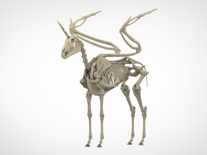 alicorn skeleton Modelo 3D