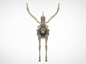 alicorn skeleton 3D Model