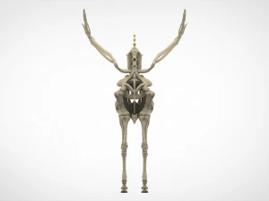 天角兽骨架 3D 模型