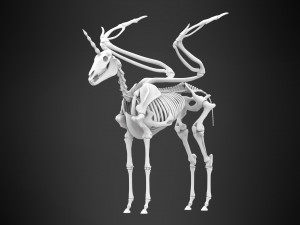 alicorn skeleton 3D Model