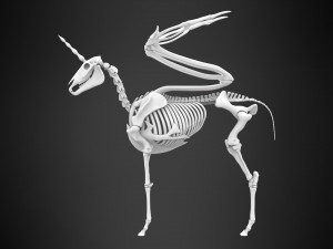 alicorn skeleton 3D Model