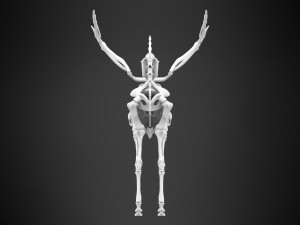 alicorn skeleton 3D Model