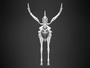 天角兽骨架 3D 模型