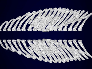 hippogriff skeleton Model 3D
