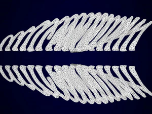 hippogriff skeleton 3D Model